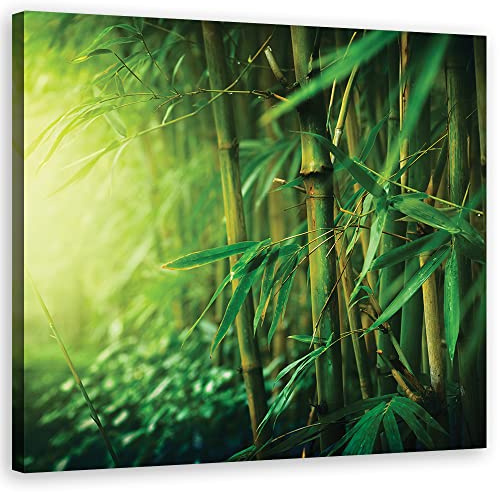 Feeby Vlies Leinwandbild Natur Bambus Dschungel 50x50 cm Wanddeko Design Kunstdruck Zimmerdeko Bilderwand Exotik Tropen Grün