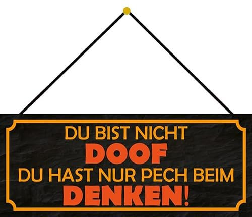 Metall Schild 27x10cm mit Kordel Du bist nicht doof Sprüche Blechschild