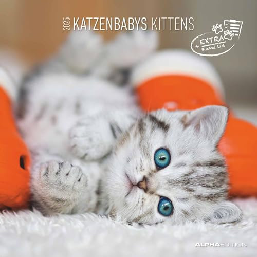 Alpha Edition - Katzenbabys 2025 Broschürenkalender, 30x30cm, Wandkalender mit Platz für Notizen und Termine, schöne Motive von Katzen-Babys, Monatsübersicht und Ferientermine DE/AT/CH: by Sabine Rath