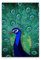 A.S. Création Leinwandbild Pfau Gemälde - Wandbild in Grün, Blau - 60 x 90 cm - DD131884