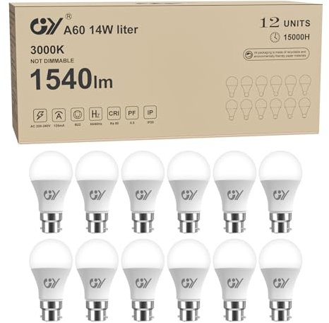 GY Ampoule LED B22 14W (équivalent 100W), 1540 lumens 3000K Blanc Chaud, A60 Ampoules Culot B22 Baïonnette LED, Économie d'énergie,Angle 280°, Non-Dimmable,Lot de 2