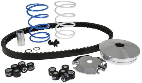 Variomatik POLINI Speed Control ECO KIT kompatibel mit PEUGEOT Speedfight 2 50 LC 2T Typ:S1, PEUGEOT Jetforce 50 C-TECH 2T Typ:A1, Speedfight 3 50 AC 2T Typ:F1, Speedfight 3 50 LC 2T F1