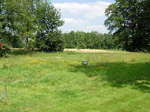 Kiepenkerl 4000159801486 RSM 7.1.2 Gazon Classique pour Grands espaces 10 kg