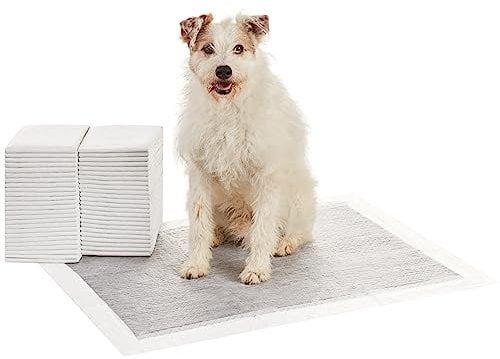 Amazon Basics Trainingspads für Hunde und Welpen mit Kohlenstoff zur Geruchskontrolle, auslaufsicheres Design mit schnell trocknender Oberfläche, Größe XL (50 Stück), Grau