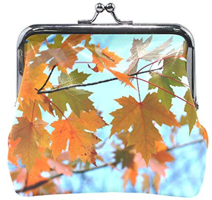 AJINGA Geldbörse mit Nordlichtern Aurora Borealis (2) Münzgeldbörse Pumpkin Leder Münzgeldbörse Snap Closure Clutch Bag