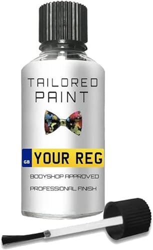 Mix By Reg Registration Plate Touch Up Paint For Audi Mixed All In 1 Formula Perfect Colour Match Car Paint Check