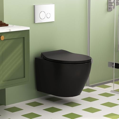 Wall Hung Toilet Without Cistern, DeerValley 1.6 GPF/1.1 GPF Double Flush Compact Rimless Ceramic Toilet Bowl with Soft Closed Seat - Black