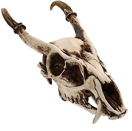 Homoyoyo Aquarien Totenkopf Dekor Resin Fisch Tank Landschaftsbau Requisiten Fake Schädel Modell Basteldekor Ornament