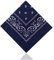 Lizzy Paisley Multifunctional Bandana's Headwear Neckwear Neckerchief Cycling Cowboy Scarf Head Neck Gaiter - Mens Womens Multipack Assorted Men Hair Pirate Bandana (Navy Blue)