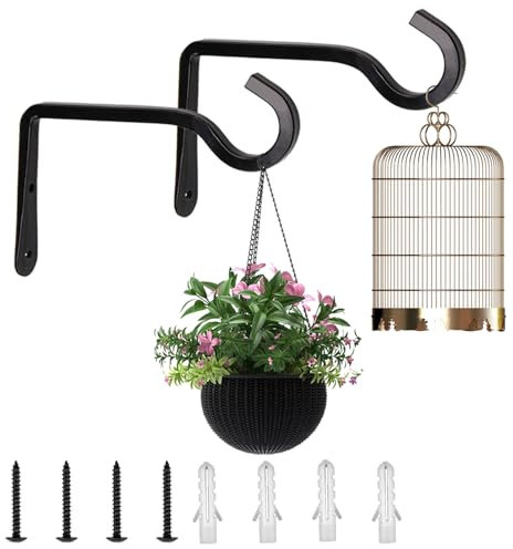 ZoeWei Ganchos de pared para macetas, 2 unidades de 15 cm, soporte para plantas, soporte para plantas colgantes, soporte para plantas colgantes de hierro, colgador de pared, ganchos para colgar