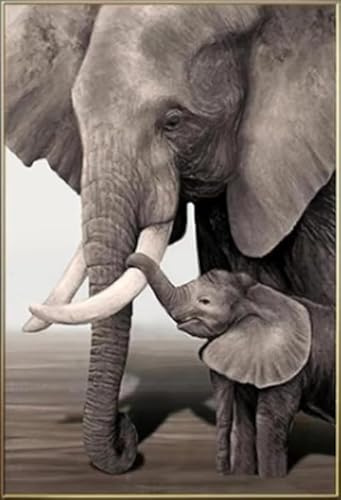 Elefant Leinwand Gemälde Kunst Deco Prints Für Kinderzimmer Wohnzimmer Schlafzimmer Wandbild Unframed (50 * 70CM)