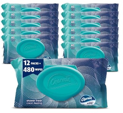 Charmin Toallitas deshechables, 12 paquetes, 40 toallitas por paquete, 480 toallitas en total