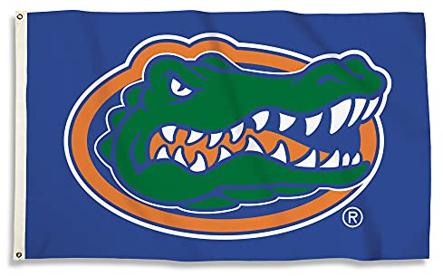 BSI NCAA - Bandera con Ojales (7,62 x 12,7 cm), Azul, Talla única