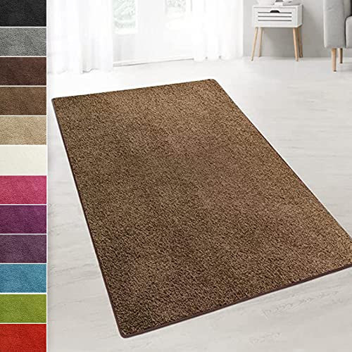 casa pura Teppich Wohnzimmer Hellbraun Flauschiger Teppich 200x300cm Läufer, weicher Wohnteppich Deko für Schlafzimmer, Kinderzimmer, Flur mit antirutsch Unterseite, Shaggy Hochfloor Barcelona