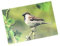 3 D Ansichtskarte Spatz, Postkarte Wackelkarte Hologrammkarte Tier Vogel Gartenvogel Sperling