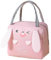 WUWYOUWL Bolsa de almuerzo, bonita lonchera aislada de cartón, bolsas reutilizables para el almuerzo, bolsa de almuerzo impermeable, bolsa de almuerzo plegable para mujeres, hombres, niños y