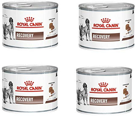 12 Lattine da 195g Royal Canin Recovery Cibo Umido per Gatti e Cani in Convalescenza