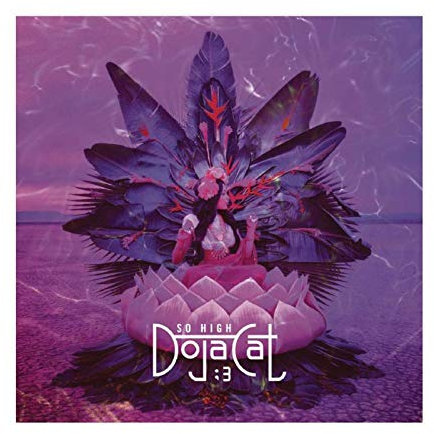 American Hip-Hop-Künstler Doja Cat Trauma Album Cover Poster Dekorative Malerei Leinwand Wand Kunst Wohnzimmer Poster Schlafzimmer Gemälde 30 × 30 cm ohne Rahmen style1