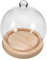 POPETPOP en Verre pour Plantes en Forme de Globe Cloche en Verre pour Fleurs Préservées - Décoration de Paysage