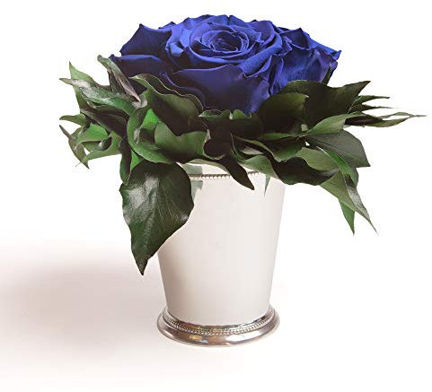 ROSEMARIE SCHULZ Heidelberg Blaue Infinity Rosen in silberfarbenen Becher 3 konservierte Rosen Blumendeko langhaltend (Blau, 3 Rosen)