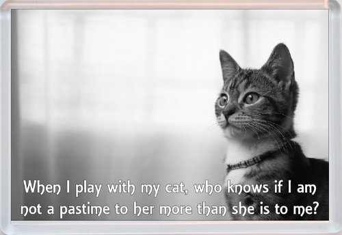 When I Play with My Cat - Cute Quote Jumbo Fridge Magnet
