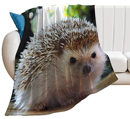 Kuscheldecke Igel Flanelldecke Warme Und Weiche Flauschig Decke Fleecedecke 100×130cm