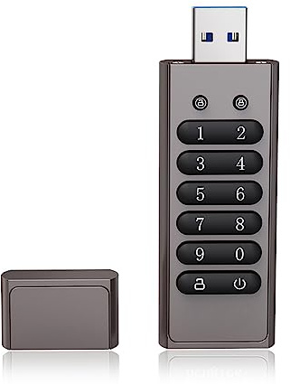 Sunydog 64GB 256-Bit verschlüsseltes USB-Laufwerk Passwort Sicheres Flash-Laufwerk USB3.0 U Disk-Unterstützung Reset/Wipe/Auto Lock-Funktion, Grau