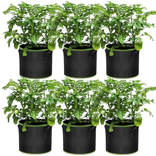 6 Pezzi Sacchetti Per La Coltivazione, Sacchetti Per La Semina Di Ortaggi Contenitori | Vasi In Tessuto Non Tessuto Traspiranti| Fioriere In Stoffa Per Ortaggi, Fiori, Patate (3 Gallon/ 10 L)