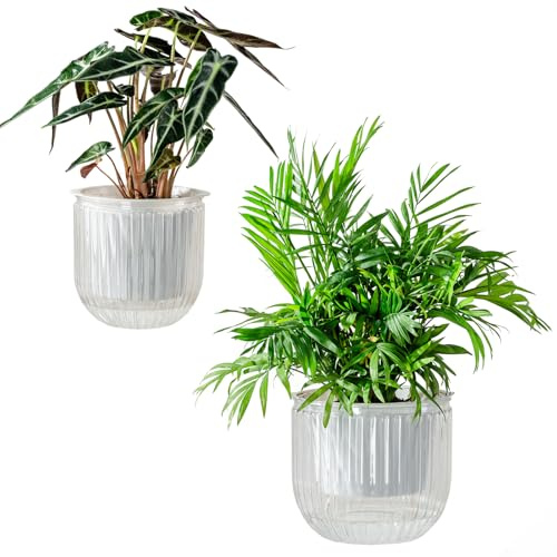 Melphoe Selbstbewässernde Töpfe für Zimmerpflanzen, Pflanzgefäß, 16,5/13 cm, 2 Stück, selbstbewässernde Blumentöpfe für Blumen, Zimmerpflanzen, Sukkulenten, afrikanische Veilchen und Kakteen mit