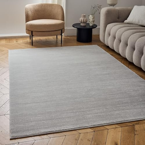 THE RUGS Carmel Modern Area Rug - Stain-Resistant, Non-Shedding, Durable Rugs for Living Room and Bedroom [ Linear Grey, 80x150cm ]