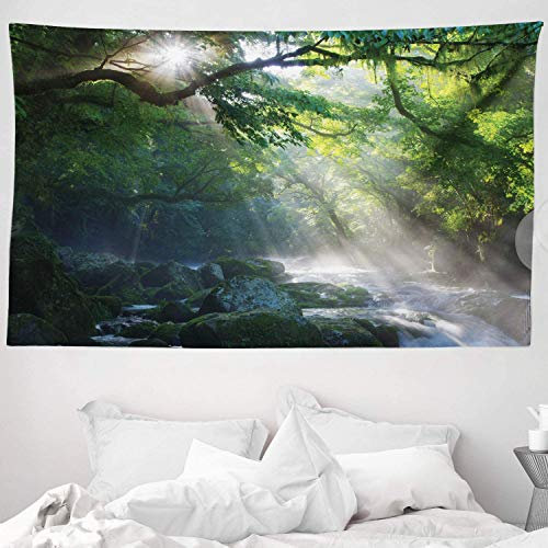 ABAKUHAUS Regenwald Wandteppich und Tagesdecke, Jungle Sonnenlicht Bäume aus Weiches Mikrofaser Stoff Waschbar ohne Verblassen Digitaldruck, 230 x 140 cm, Grün Weiß