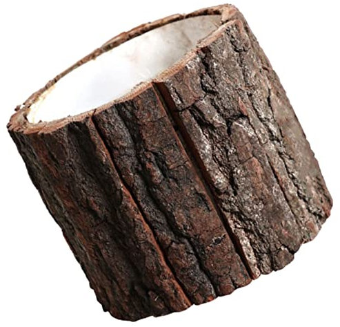 DECHOUS Pot de Fleurs Multifonctionnel de 12 Cm pour Décoration de Maison Balcon Jardin