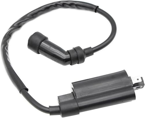 Zündspule für Motorräder Motorrad Zündspule Für Yamaha XVS125 XVS250 Für Drag für Star XV125 XV240 XV250 Für Virago SRV250