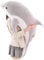 Kekeso Delfin Plüschtiere Schöne Gefüllte Weiche Tier Umarmungskissen Delphin Puppen für Kinder(120cm/47.24inch, Grau)