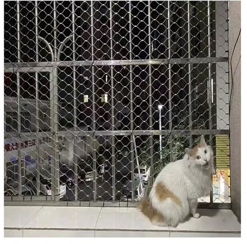 SHAARI Rete di Sicurezza per Gatti, Recinzione Anticaduta, Struttura in Filo d'Acciaio Adatta per Aree di attività dei Gatti, Protezione delle Finestre(5cm Mesh,0.8x8m)