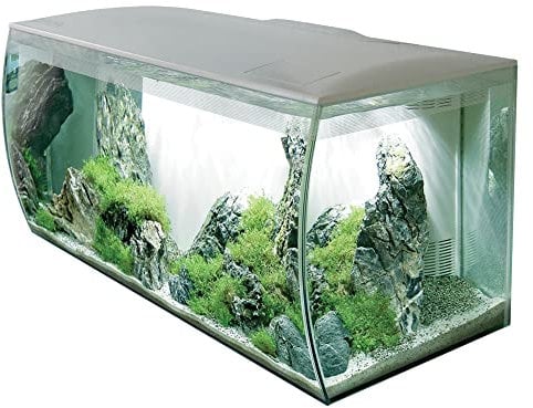 Fluval Flex Aquarium 123L, Süßwasser Aquarium, weiß