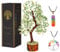 YATSKIA Colgante de árbol de la vida con piedras preciosas de jade verde con siete chakras, collar de joyería de cristal curativo Feng Shui, bonsái, buena suerte, dinero, reiki, prosperidad, budista