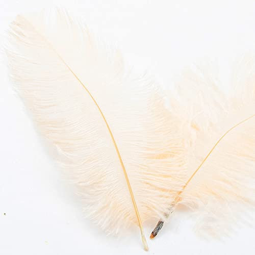 10 Stück 15-20cm Natürliche Straußenfedern,Strauß Feder zum Basteln,Bastel Federn für DIY Traumfänger Zubehör,Heimdekoration,KostüMe,Tischdeko Hochzeit Party Fest Hüte Kleidung Dekoration,Champagner
