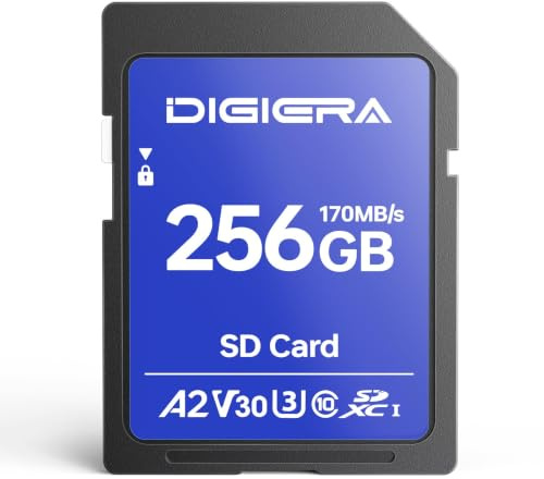 256 GB Tarjeta de Memoria SDXC UHS-I LS100 - hasta 170 MB/s, C10, U3, V30, 4K UHD, para Ordenadores, Cámaras Digitales, Dispositivos de Home Theatre y Sistemas de Navegación para Coche (Pack de 1)