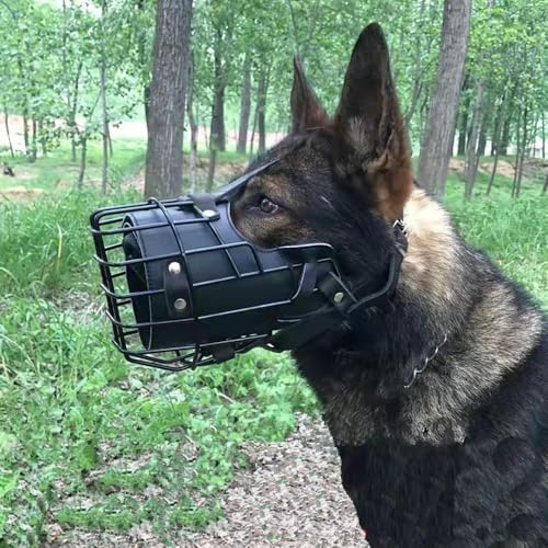 Premium Leather Dog Muzzle with Metal Cage (Large Cage) - Adjustable Secure Fit for Strong & Aggressive Dogs - Comfortable Breathable Protection – Dog Muzzle for Large Dogs & German Shepherd