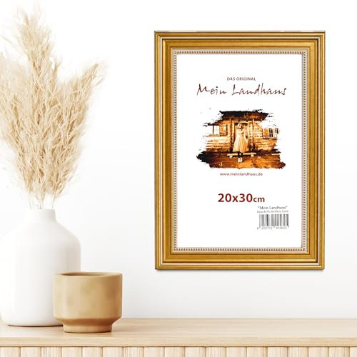 Mein Landhaus Bilderrahmen Wien – Barock Fotorahmen in Silber & Gold – Echtglas oder Acrylglas – Vintage Stil in vielen Größen (Gold, 40x50 cm (Acrylglas))