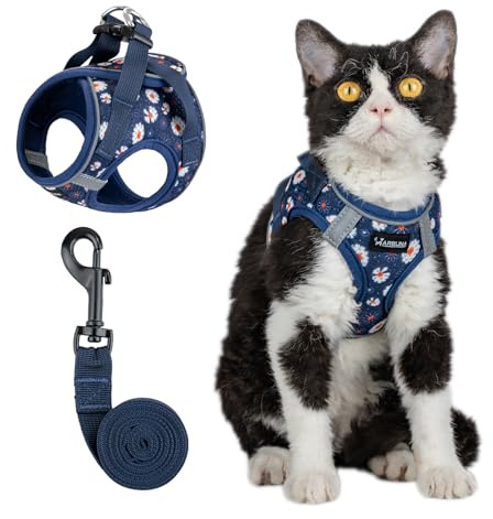 Arblina Katzengeschirr, Weich & Atmungsaktives Katzengeschirr-Set mit Reflex, Leichtes Katzengeschirr Ausbruchsicher mit 1,5m KatzenLeine, Blau S
