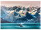 MyPuzzle Alaska Wale - Premium 1000 Teile Puzzle - MyPuzzle Sonderkollektion von Puzzle Galaxy