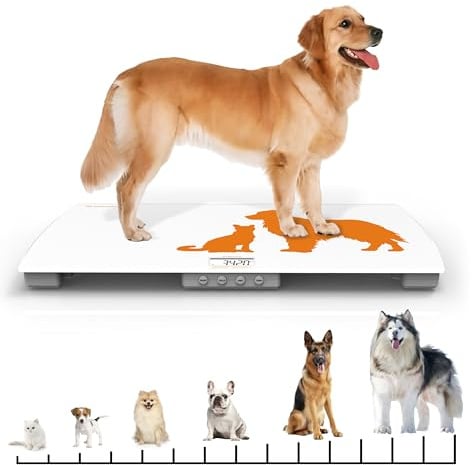 Digital Weighing Scale for Dogs Cats Puppies, Vet Scale, Scale for Animals Pets, 330lb x 0.1lb, Veterinary Scale, 33 x 19in Wide Platform, 8mm Tempered-Glass