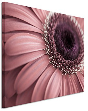 Paul Sinus Art Kunstfoto auf Leinwand 60x40cm Naturfotografie – blumen in Altrosa auf Leinwand exklusives Wandbild moderne Fotografie für ihre Wand in vielen Größen