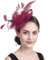 HKSCKJ Fascinator Hut Damen Mütze mit Federn Haarschmuck Blumen Haarreif Mesh Kopfschmuck mit Haarclip Haarspange Elegant Schleier Vintage Kopfbedeckung Hochzeit Party Cosplay Cocktail Kirche