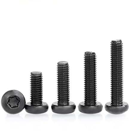 Lot de 100 vis Torx à tête ronde en acier inoxydable 304 M2 x 8 mm Noir