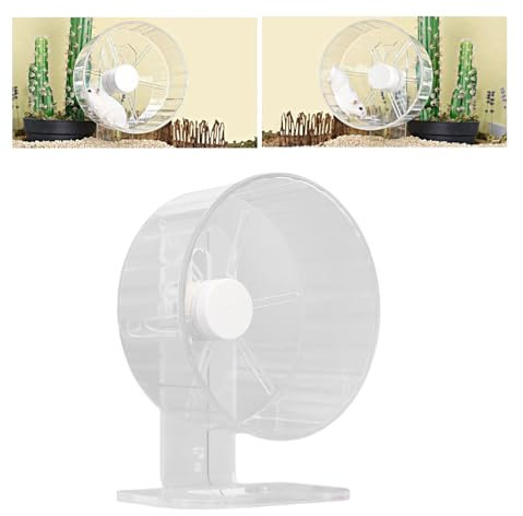 BLSYHDH Hamster-Übungsrad, Rennmäuse-Spielzeug, Käfigzubehör, Geräuschloses Hamsterrad mit Ständer, Verhindert Verrutschen, Klares Acryl-Hamster-Übungslaufrad,(Klein, Durchmesser: 40 cm)