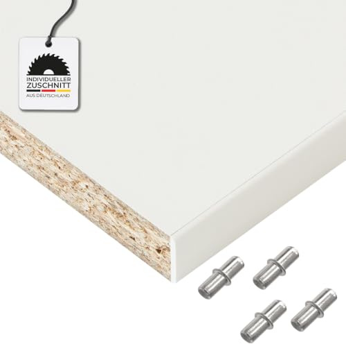 Hausfux Einlegeboden, Regalboden nach Maß - 1,9 cm Starke Spanplatte, melaminbeschichtet, einseitige ABS-Kante - Made in Germany - Maßanfertigung - für Möbelbau (ICY White, 20 x 10 cm)