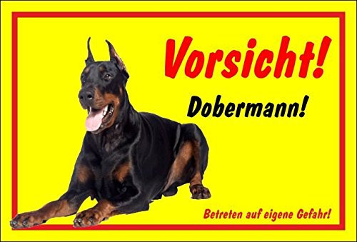 Melis-Folienwerkstatt Schild Warnschild Achtung Dobermann – Vorsicht Dobermann - Hund Hundeschild 30x20cm Hartschaum Aluverbund -S26B